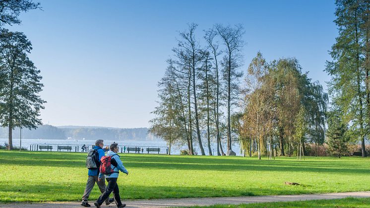 Wandern am Wasser wird in Brandenburg groß geschrieben. Foto: TMB Fotoarchiv / Steffen Lehmann