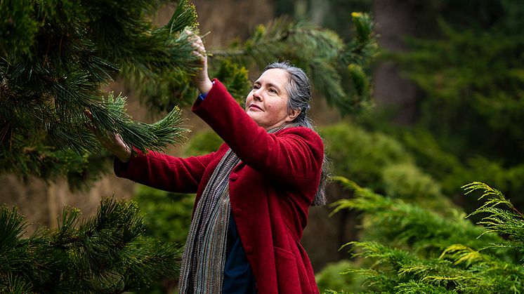 Åsa Ode Sang - en av SLU:s nya professorer. Foto: Johan Persson