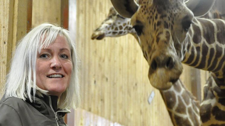 Veronica Fors är ny HR-chef på Kolmården