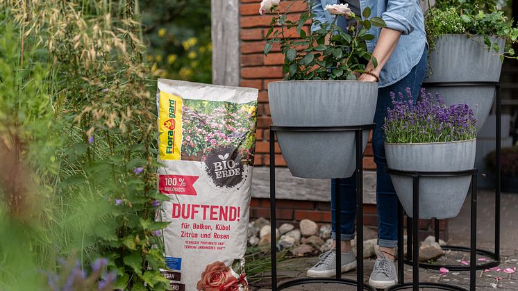 Gefährdete Insekten werden durch das Pflanzen geeigneter Stauden in der Nahrungssuche aktiv unterstützt. Die Bio-Erde DUFTEND! eignet sich gut für die Bepflanzung von Töpfen und Kästen auf dem Balkon und der Terrasse. 