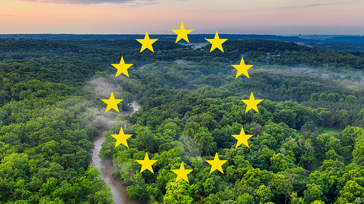 Verdens Skove: EU’s nye lov er godt nyt for skovene, men når ikke helt i mål