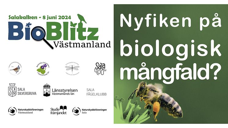 BioBlitz Västmanland 2024