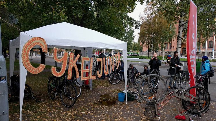 Umeås cykeljunta