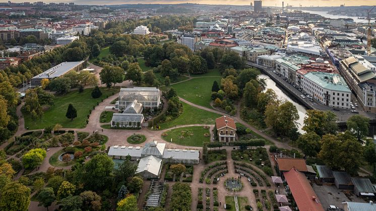 Gröna stråket i Trädgårdsföreningen. Foto: Krister Engström