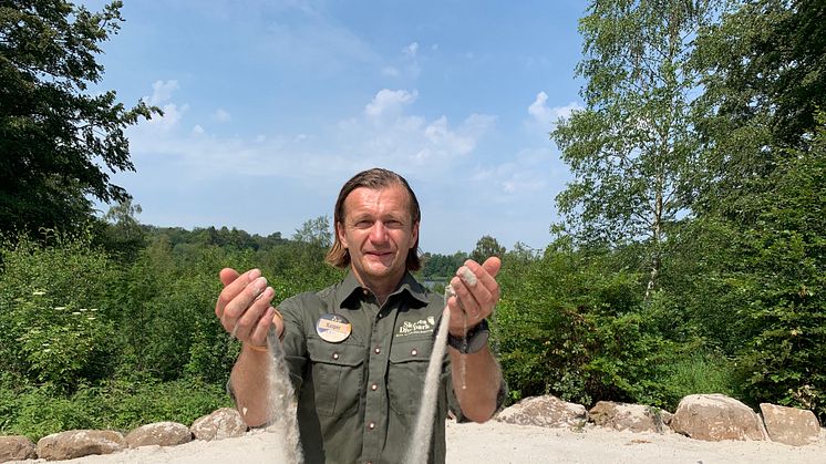 400 ton sand har gått åt till den sandstrand som byggs mitt i Skånes Djurpark.