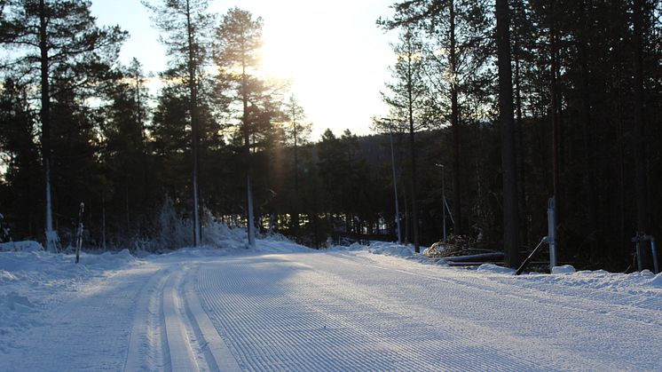 Lofsdalens nya konstsnöspår 