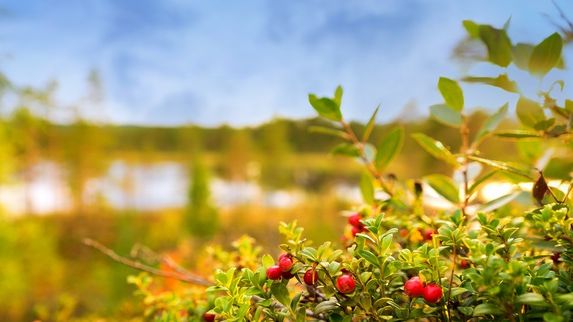 Bergs kommun har tagit höjd för att uppfylla kraven som den nya datasäkerhetsförordningen kommer att kräva 2018. 