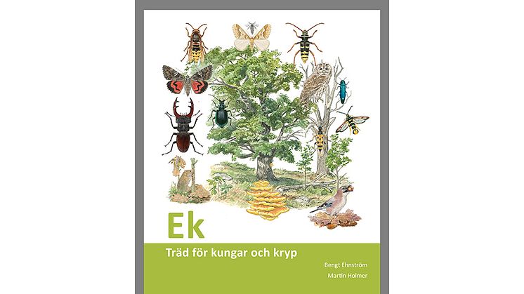 Boken "Ek - Träd för kungar och kryp" är den sjätte i en serie om några av våra vanligaste träd och deras biologiska mångfald, av Bengt Ehnström och Martin Holmer.