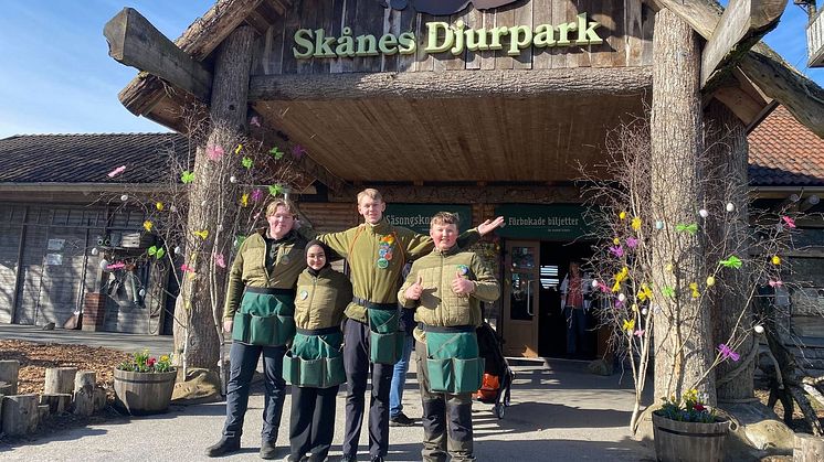 Nu har Skånes Djurpark öppnat för säsongen och 100 ungdomar har gjort sina första arbetspass i helgen. Alla djur är redo för påskens dagliga matexpeditioner och äggjakt. Påskaktiviteterna i Skånes Djurpark pågår fram till 30 april.