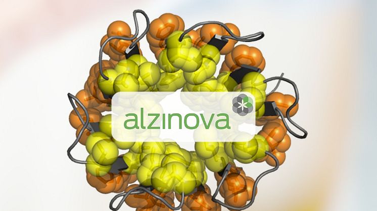 A model of the hexameric Aβ42CC oligomer unit that make up the immunogen in ALZ-101. (Figure courtesy of Prof. Torleif Härd, SLU, Sweden, co-founder of Alzinova.)