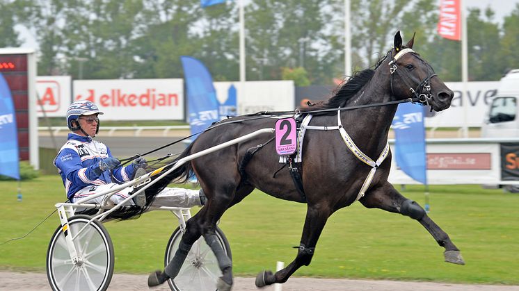 Söndag: Extra V75 på Solvalla med kommande superstjärnor