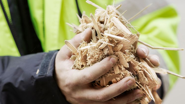 Biomassa är en viktig råvara för produktion av värme och energi