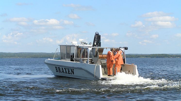 Fiske med trålning och elektricitet för att rena Vallentunasjön 