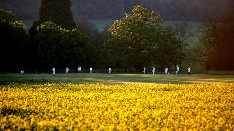 ECB statement: Recreational cricket