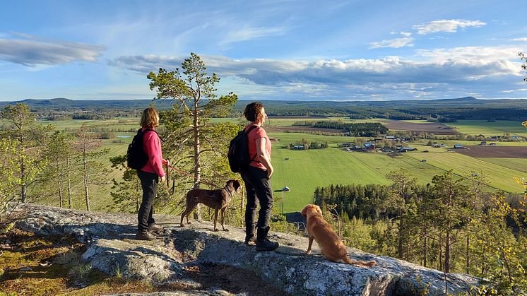 Naturkartan är en digital natur- och friluftsguide som gör det enkelt att hitta information och inspiration till friluftsliv.  Foto: PIteå kommun