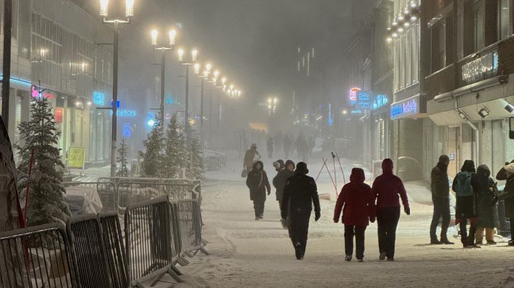 Classic arctic winter weather in Tromsø during the kick off meetings (Photo: Kanchana Bandara/Akvaplan-niva):