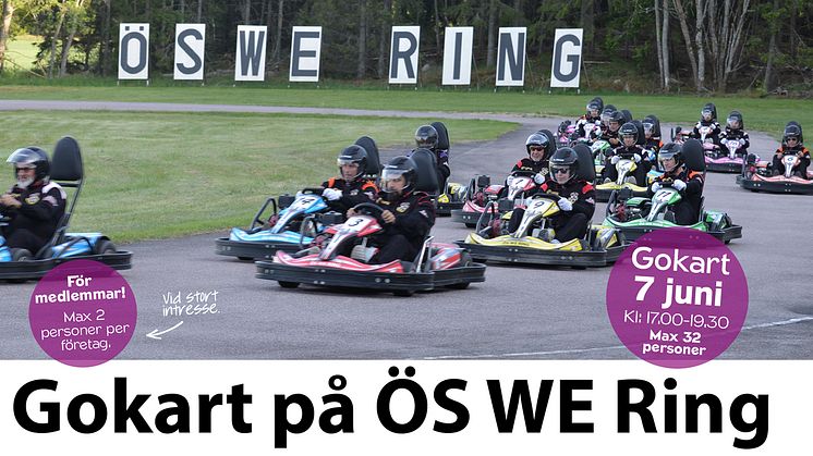 Gokart på ÖS WE Ring