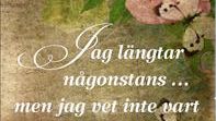 Unik handbok för våldsdrabbade kvinnor