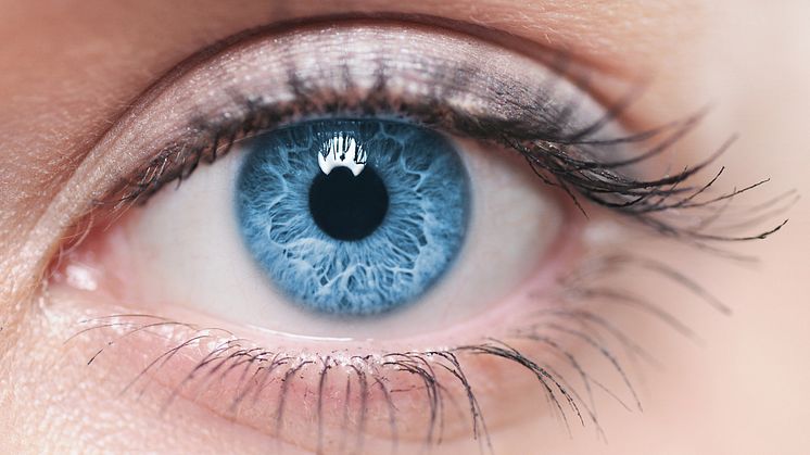 Auch eine osteopathische Studie zum Thema Makuladegeneration wird am 29.9. beim 8. Internationalen Forschungssymposium in Bad Nauheim vorgestellt. Macro image of human eye - Piotr Krzeslak - shutterstock.com