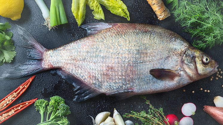 Dishes with Swedish bream get the green light from chefs and school students alike. In addition, the climate footprint is only one third compared to salmon.