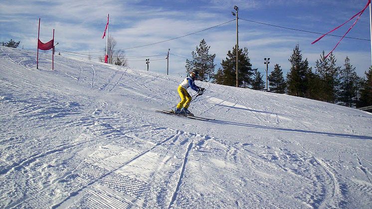 Lindbäcksstadions alpina anläggning