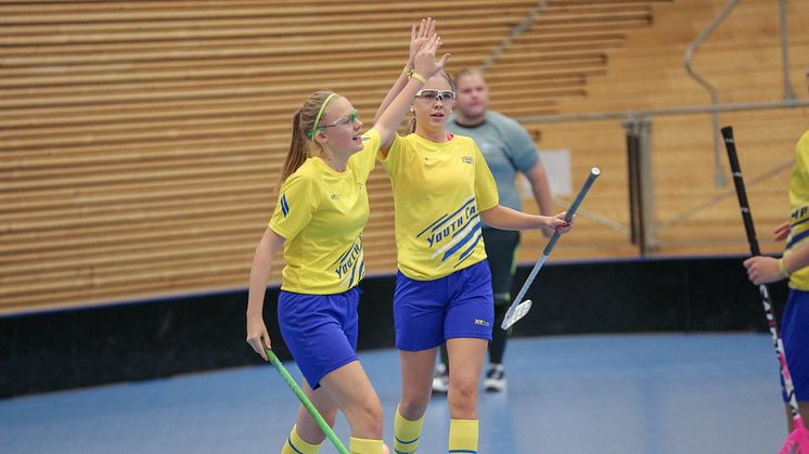 Innebandy Flex, Foto Svensk Innebandy