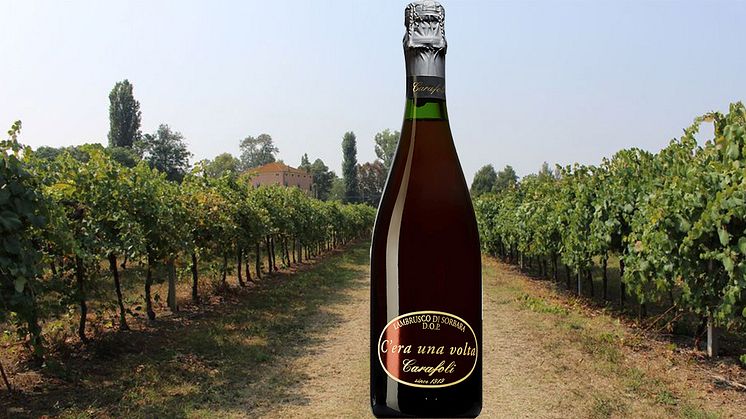 C'era una volta Lambrusco di Sorbara DOP 2021 ﻿﻿Lanseringsdatum: 10 juni 2022. Antal flaskor: 12.000 ﻿﻿Nr: 95124 · 750 ml · 11,5%· Pris: 139 kr.