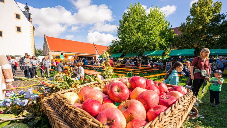 Bauernmarkt im Kloster Buch in Leisnig - Foto: Tom Williger