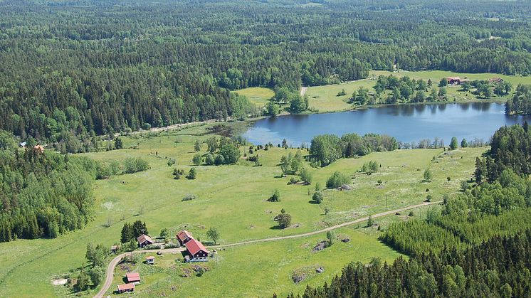 Biologisk mångfald hotad av 1900-talets landskapsförändringar 