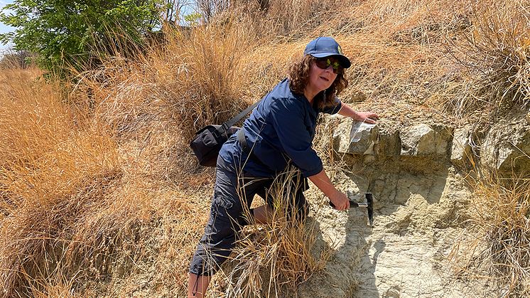 Professor Vivi Vajda letar växtfossil på Madagaskar. Foto: Nicolas Rakotosolofo