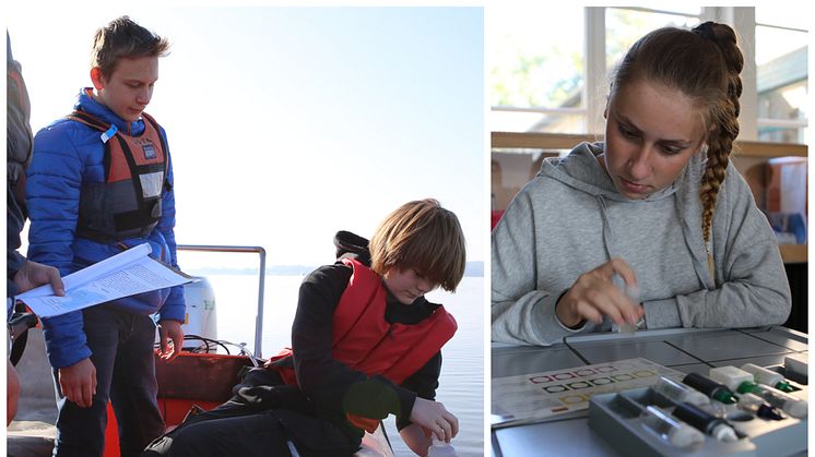 Neues Louisenlunder Forschungsprojekt: Junge plus-MINT-Talente untersuchen Wasserqualität der Schlei