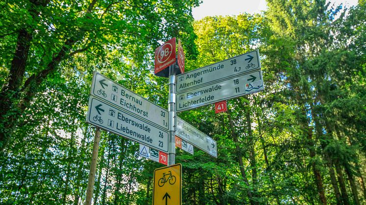 Erfolgskonzept: Knotenpunktradeln, wie hier im Barnim, wird immer beliebter (TMB-Fotoarchiv/Steffen Lehmann) 