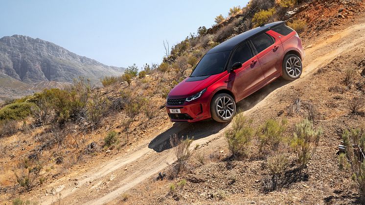 Discovery Sport off road 3