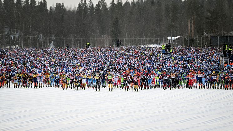 Vilka vinner Vasaloppet och Tjejvasan 2024?