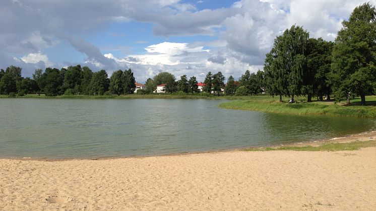 Algblomning i Sundstatjärn - kommunen avråder från bad 