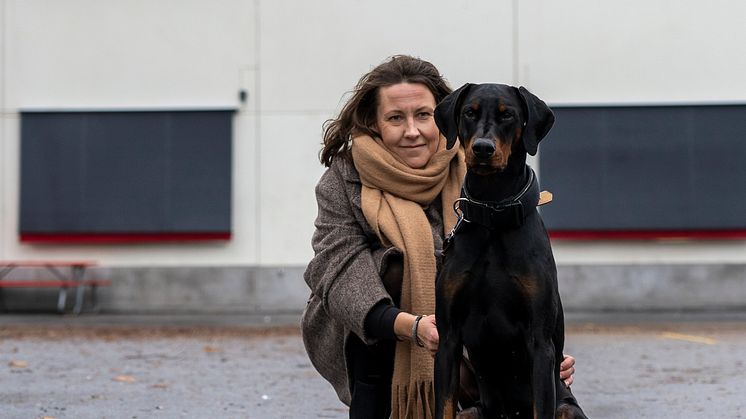 Årets bragdhund 2020