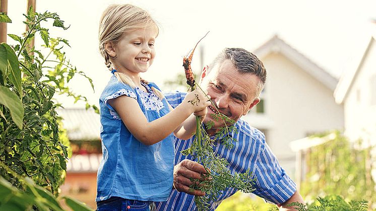 sommarmat_juni22_1280x650px