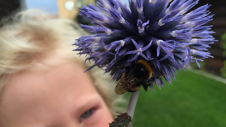 Biologiska mångfaldens dag firas med aktiviteter för hela familjen vid Habiteum (vid Sundspärlan) och i Jordbodalen. Foto:Eva Sunnerås