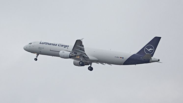 Lufthansa Cargo A321-Frachter zu Erstflug abgehoben