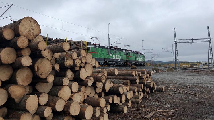 Green Cargo bildar en särskild enhet för rundvirkeslogistik från och med januari 2022.