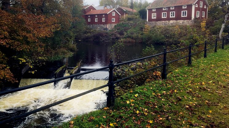 Den historiska dammen vid Järle kvarn är en omstridd plats där natur- och kulturvärden ställs mot varandra. Foto: Helena Törnqvist.  