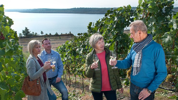 Zum Wohl! Im Lausitzer Seenland wachsen edle Tropfen. Foto: TV Lausitzer Seenland. 