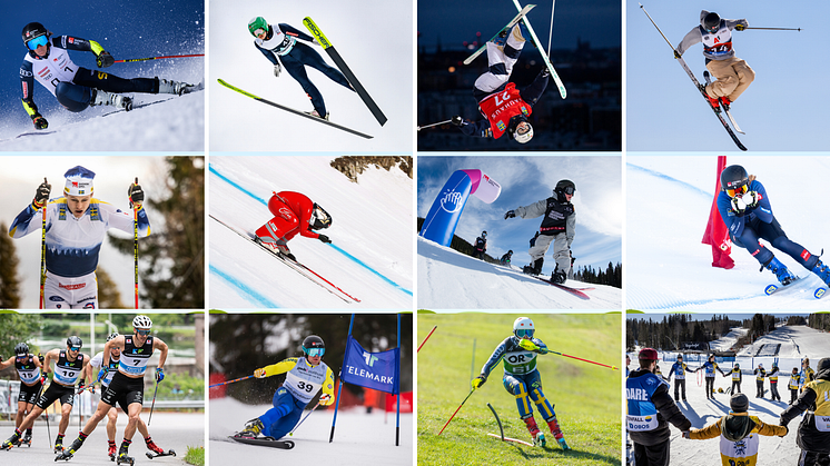 Förbundet har elva olika grenar: alpint, backhoppning, freeski, grässkidåkning, längdåkning, freeski, puckel, rullskidor, skicross, snowboard, speedski och telemark.