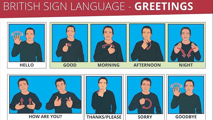 British Sign Language greeting