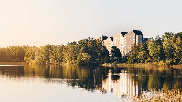 Vallen, Växjö. Fotograf: Jonas Ljungdahl