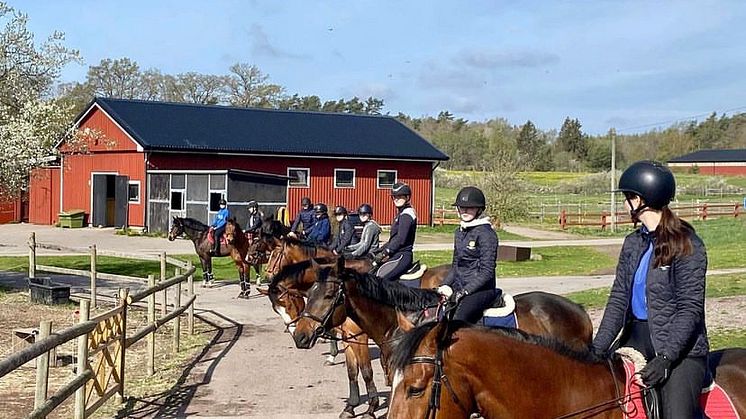 Skolhästarnas journaler granskades noggrant under certifieringen. Ett 80-tal dokument fick skickas in för bedömning. Foto: @naturbruksgymnasiet_kalmar