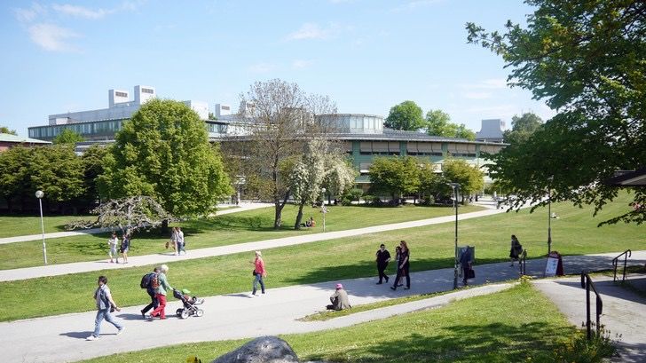 Sommarexperter från Stockholms universitet