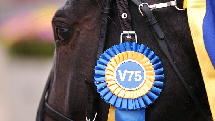 V75 jubilerar med internationell superpott – och världens bästa hästar
