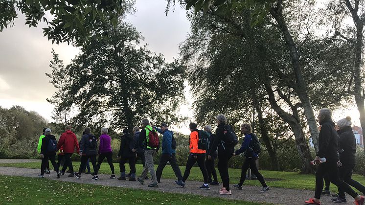 Motion og fællesskab: Gå et maraton med andre