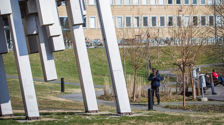 Umeå universitet får tre nya ledamöter till styrelsen från och med 1 maj.